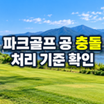 파크골프 공 충돌 처리 기준