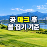 파크골프 공 마크 후 처리