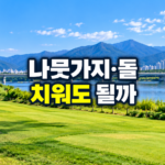 파크골프 나뭇가지 돌 처리 기준