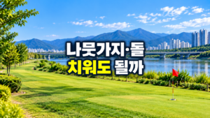 파크골프 나뭇가지 돌 처리 기준