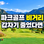 파크골프 비거리 급감 점검