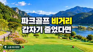 파크골프 비거리 급감 점검