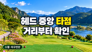 파크골프 헤드 중앙 타점 점검
