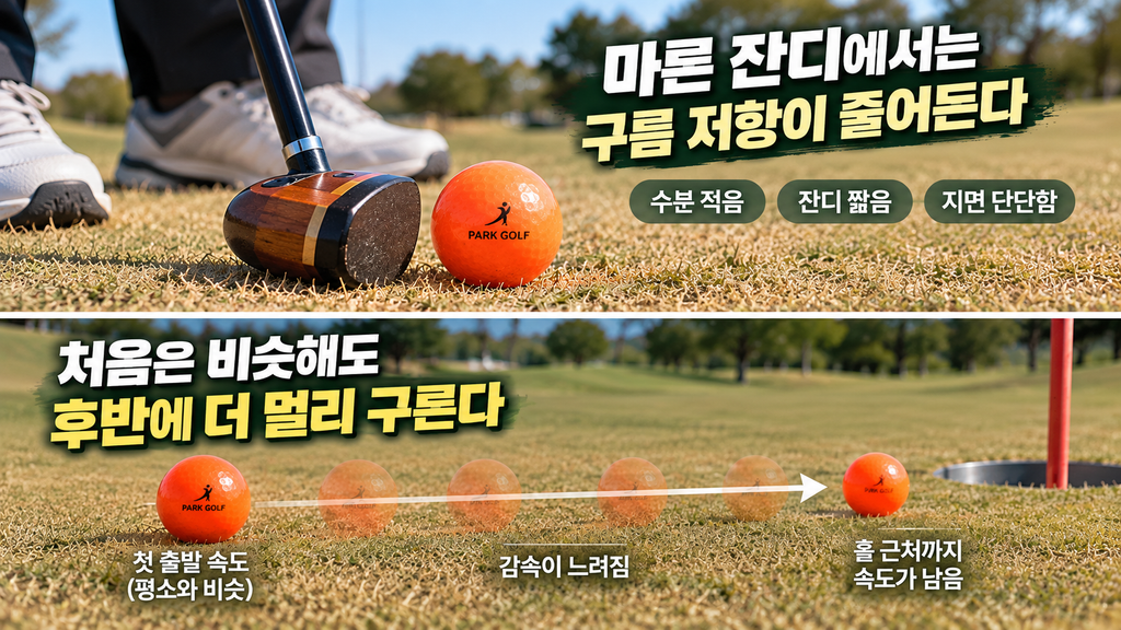 마른 잔디에서 퍼팅 거리감을 조정하는 파크골프