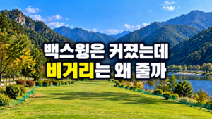 파크골프 백스윙 크기와 비거리 감소 원인 점검