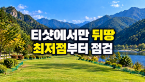파크골프 티샷 뒤땅과 스윙 최저점 점검