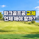 파크골프공 교체 시기와 표면 상태 점검