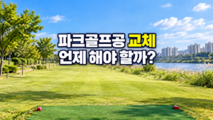 파크골프공 교체 시기와 표면 상태 점검