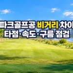 파크골프공 비거리 차이 타점·속도·구름 점검